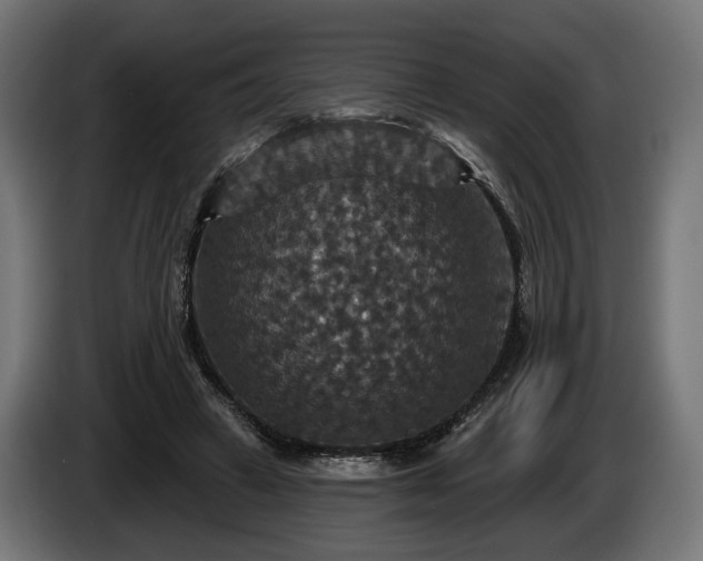 X0000084520449200703021359