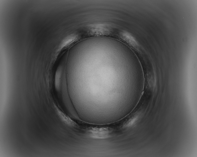 X0000084520450200703021359