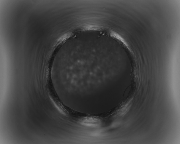 X0000084520451200703021359