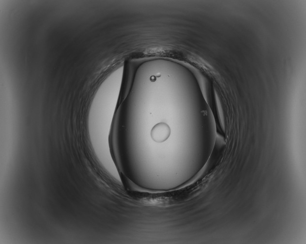 X0000084520452200703021359