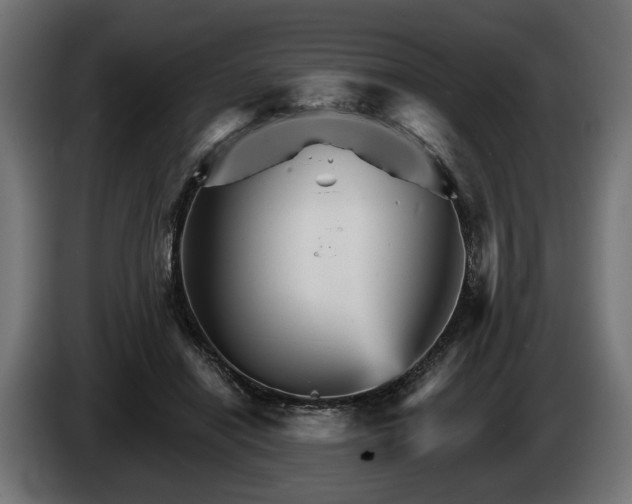 X0000084520454200703021359