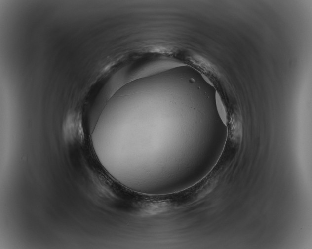 X0000084520456200703021359