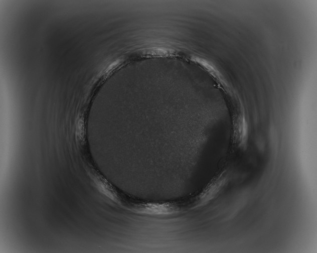 X0000084520457200703021359