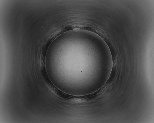 X0000084520464200703021359