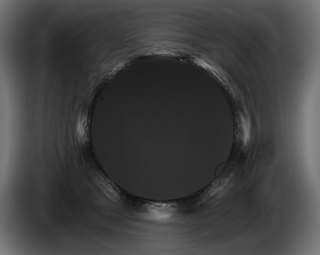 X0000084520465200703021400