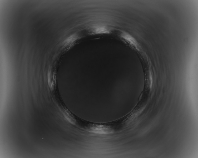 X0000084520467200703021400