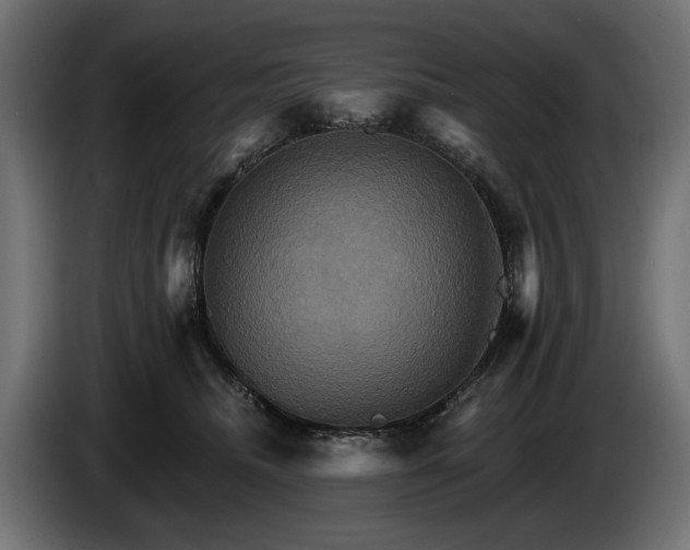 X0000084520468200703021400