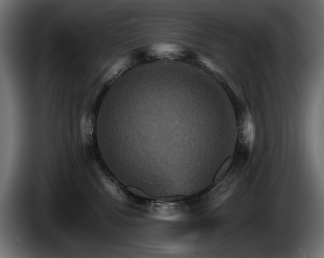 X0000084520472200703021400