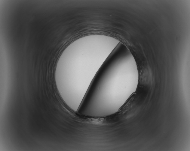 X0000084520474200703021400