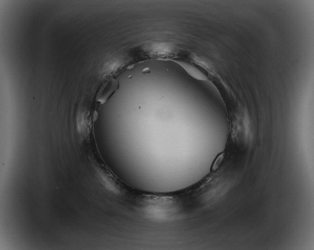 X0000084520476200703021400