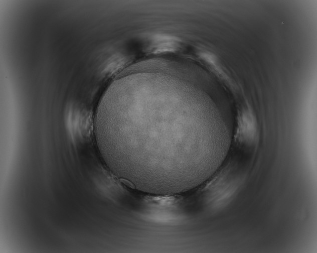 X0000084520478200703021400