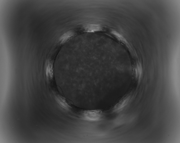 X0000084520479200703021400