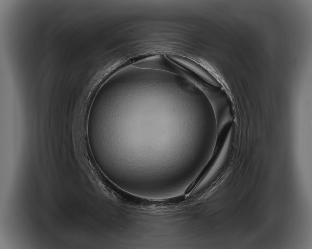 X0000084520481200703021359