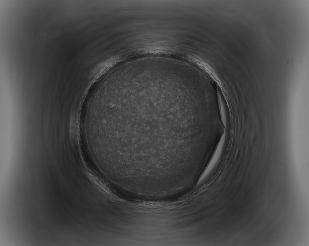 X0000084520482200703021359