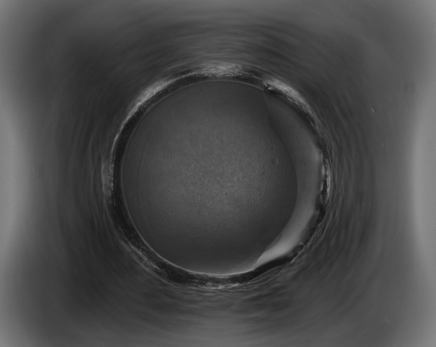 X0000084520484200703021359