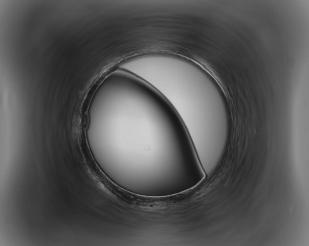 X0000084520485200703021359