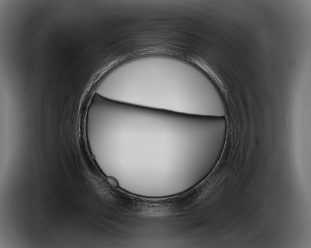 X0000084520486200703021359