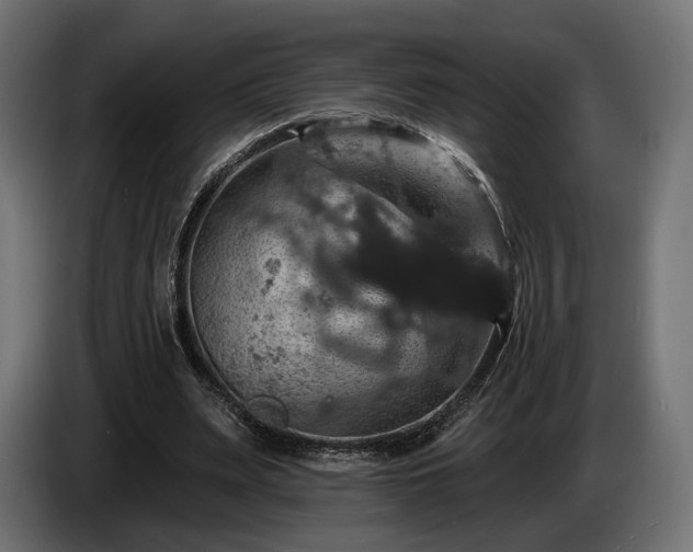 X0000084520487200703021359