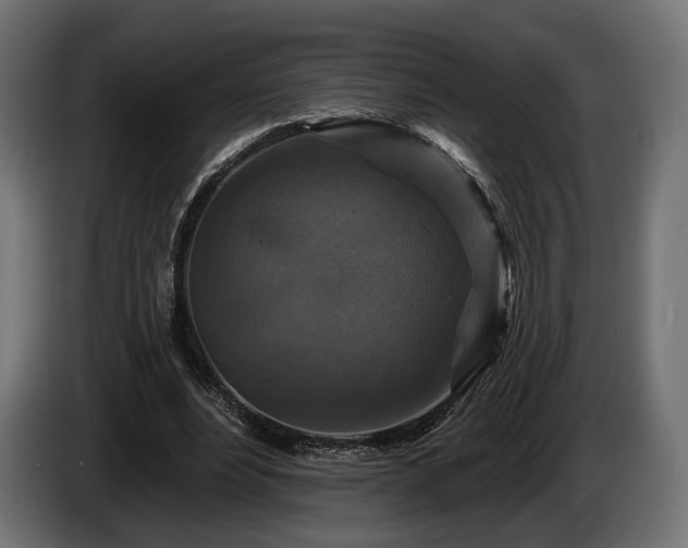 X0000084520488200703021359