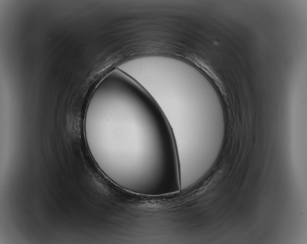 X0000084520489200703021359