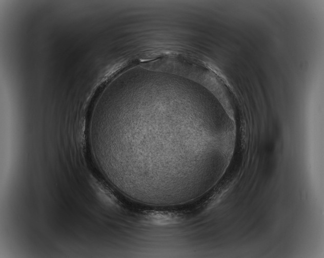 X0000084520490200703021359