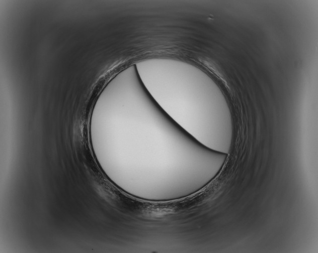 X0000084520491200703021359