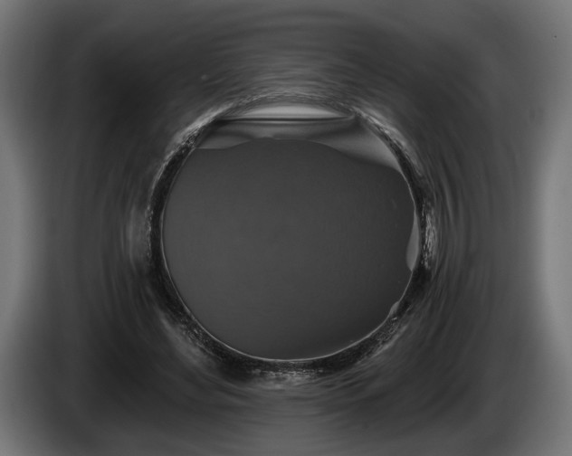 X0000084520492200703021359