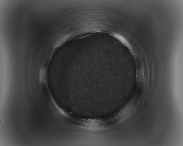 X0000084520493200703021359