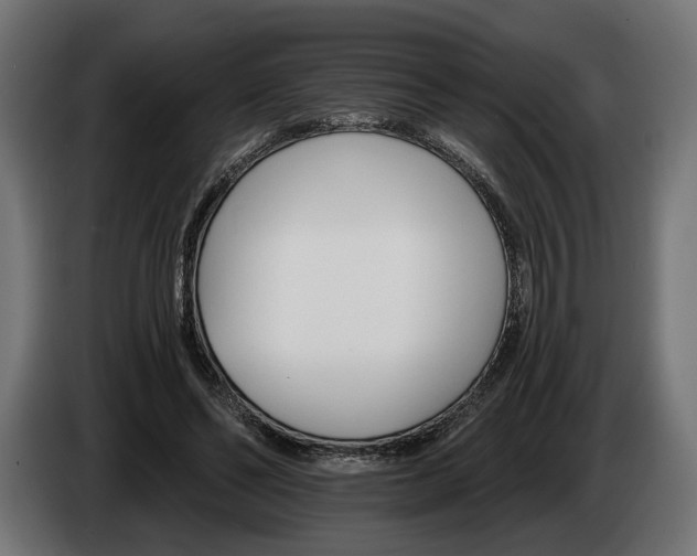 X0000084520494200703021359