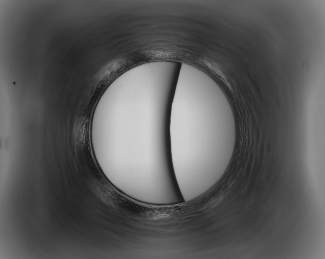 X0000084520495200703021359