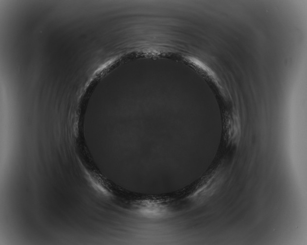 X0000084520496200703021359