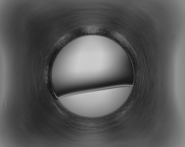 X0000084520497200703021359