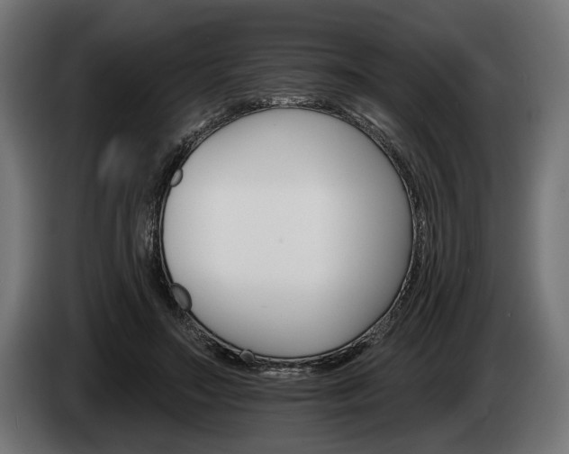 X0000084520499200703021359