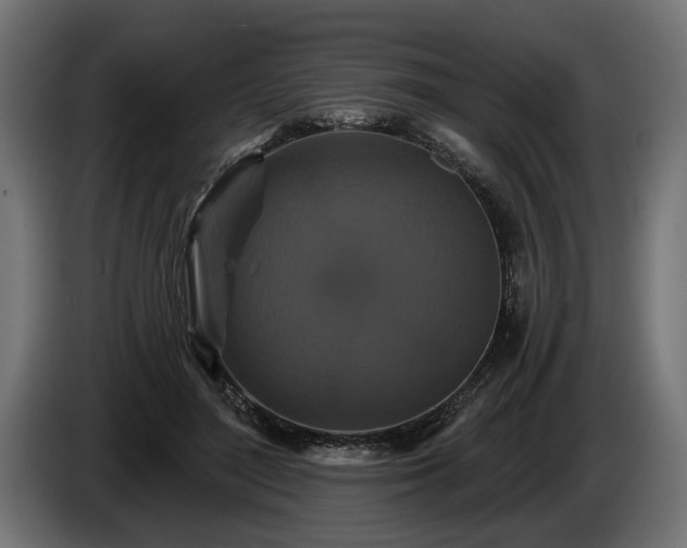 X0000084520500200703021359