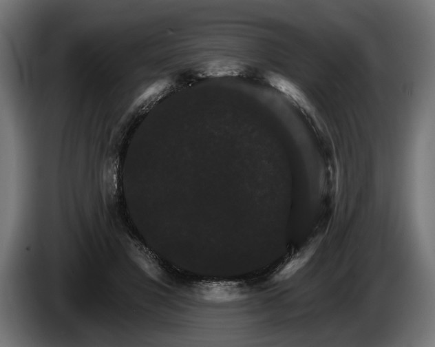 X0000084520501200703021359