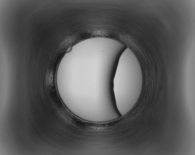 X0000084520502200703021359