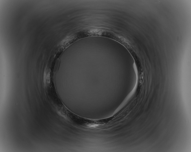 X0000084520504200703021359