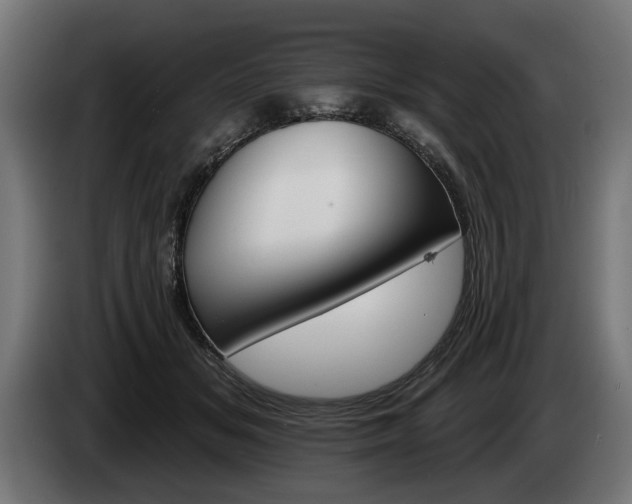 X0000084520509200703021358