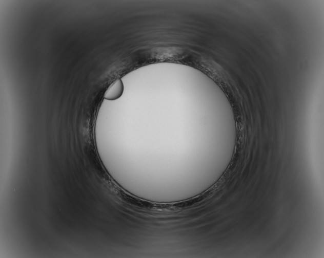 X0000084520510200703021358