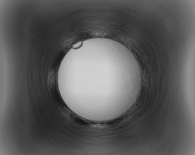 X0000084520511200703021358