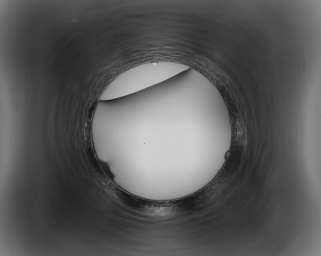 X0000084520514200703021358