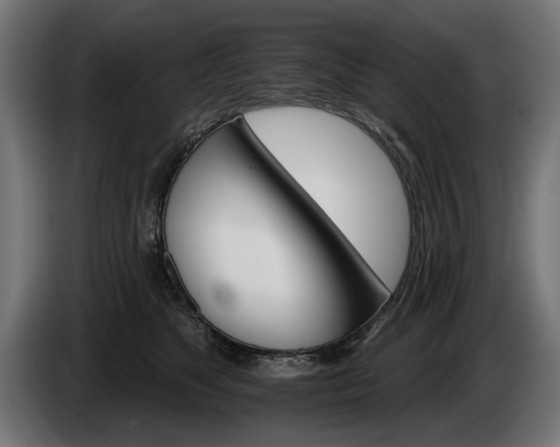 X0000084520517200703021358