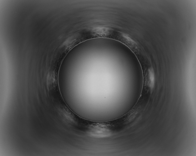 X0000084520518200703021358