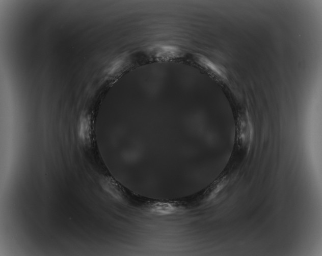 X0000084520519200703021358