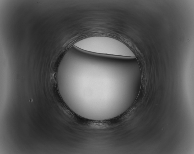 X0000084520521200703021358