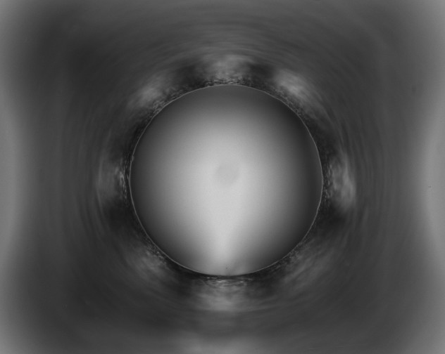 X0000084520522200703021358