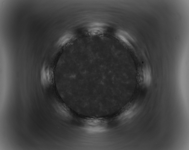 X0000084520523200703021358