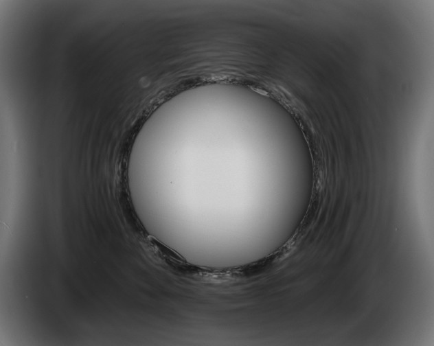 X0000084520524200703021358