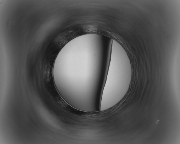 X0000084520525200703021358