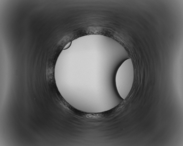 X0000084520526200703021358